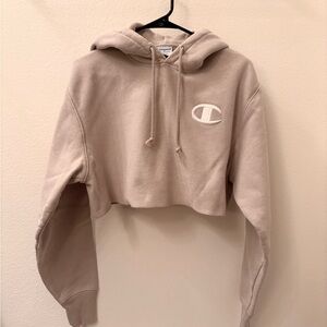 Champion reverse weave Cropped Hoodie